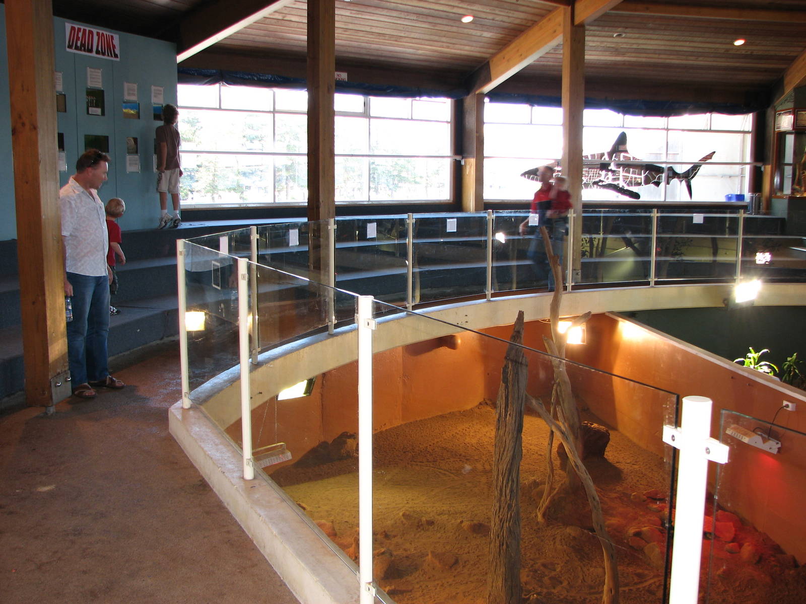 Oceanworld Manly - Pits for goanas and lizards in front of the show stage