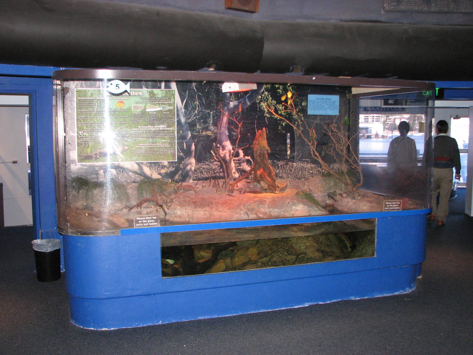 Oceanworld Manly - Saltwater Crocodile exhibit