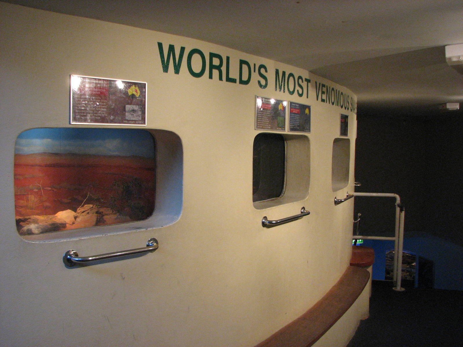 Oceanworld Manly - Series of venomous snake exhibits