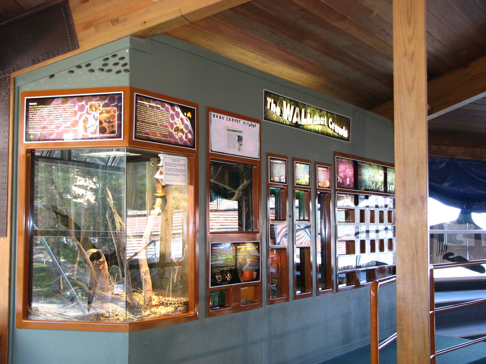 Oceanworld Manly - Small reptile exhibits