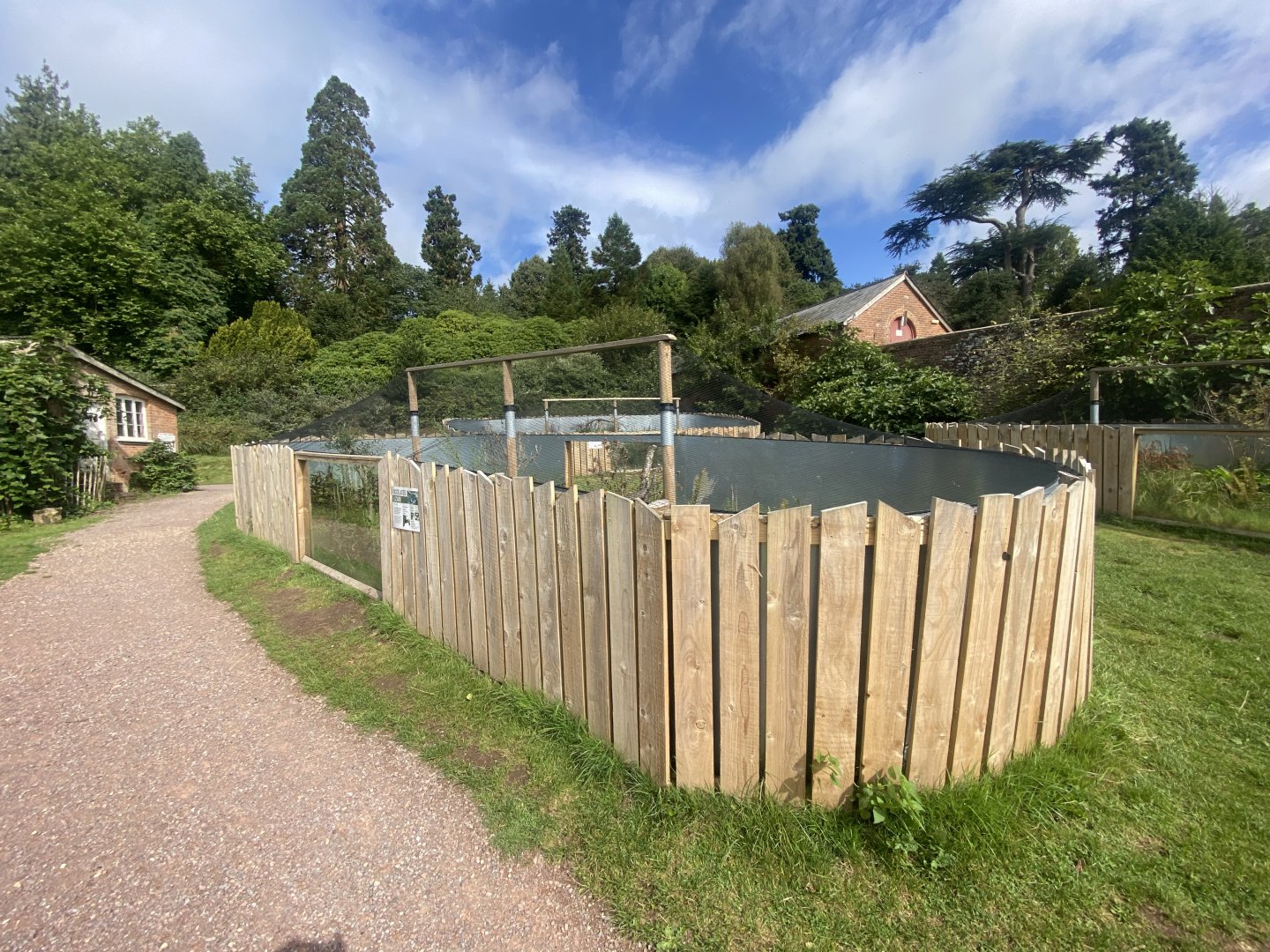 Ocellated lizard exhibit 100924