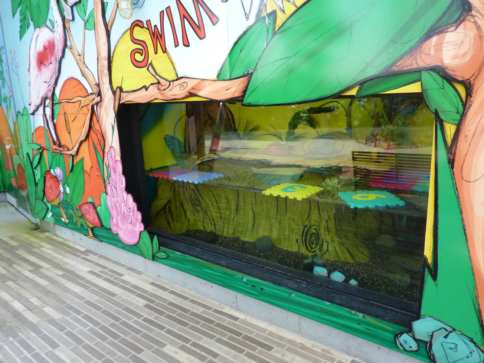 Ocellated Stingray + Milky Tree Frog Exhibit