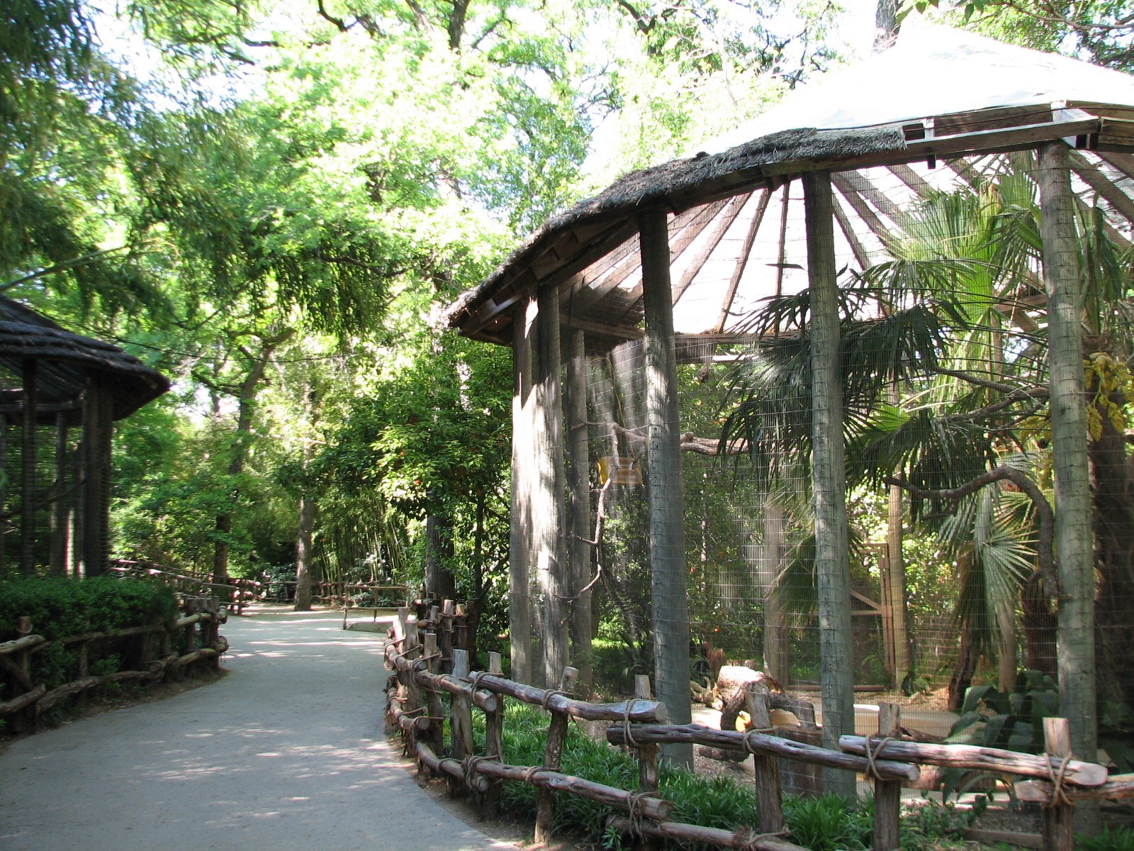 Ocellated Turkey Exhibit