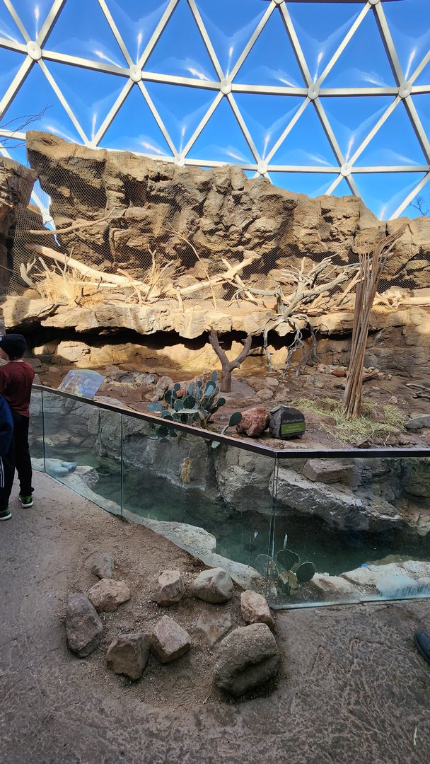 Ocelot and Peccary Exhibit