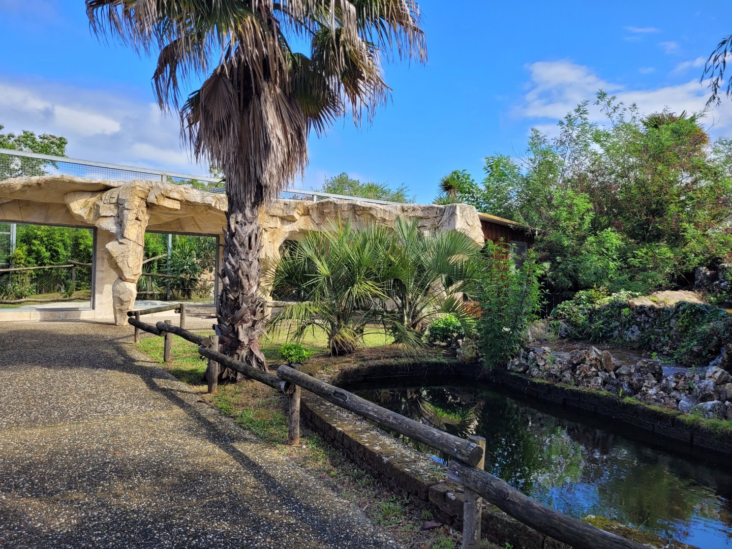 Ocelot area -Zoo du bassin d'Arcachon (2024)
