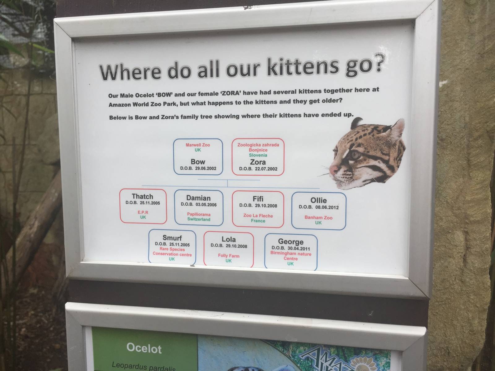 Ocelot destination sign - 30/08/15