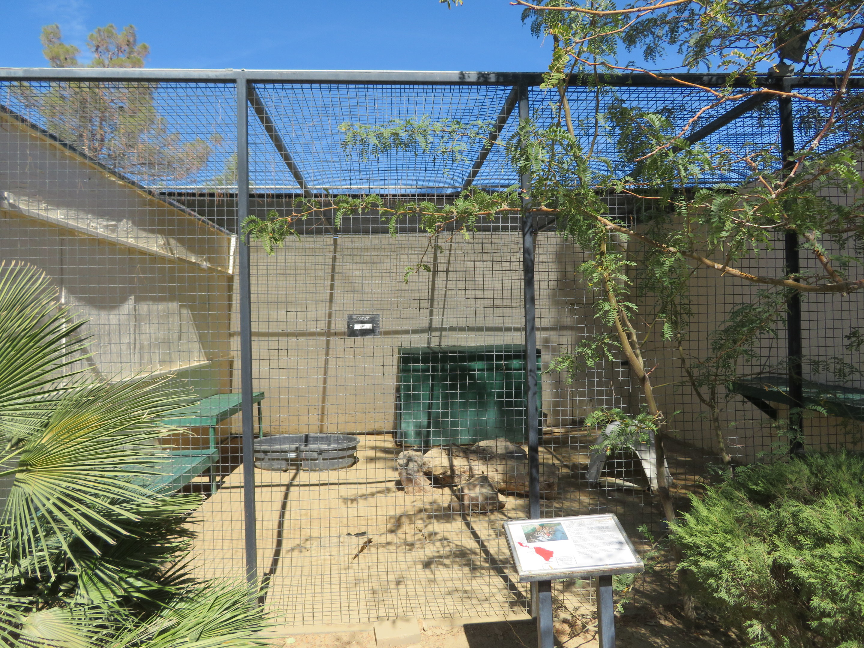Ocelot Enclosure (2022)