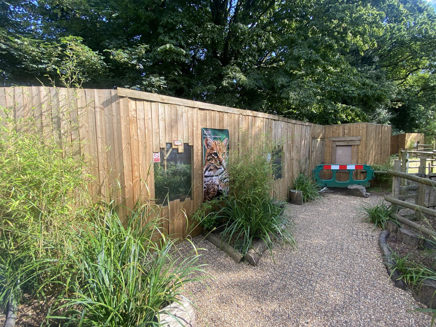 Ocelot enclosure 290723