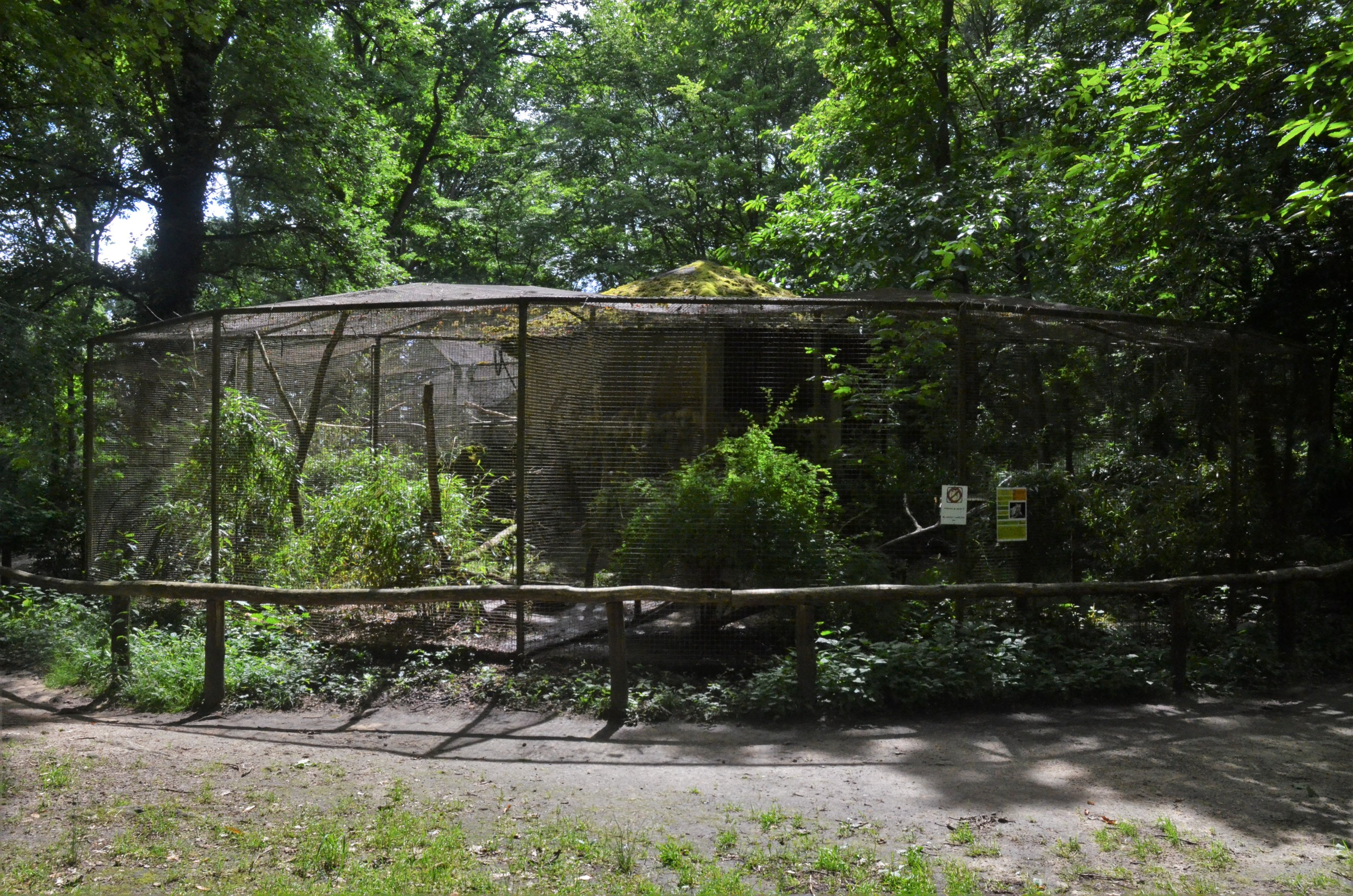 Ocelot Enclosure at Pescheray, 13/06/18