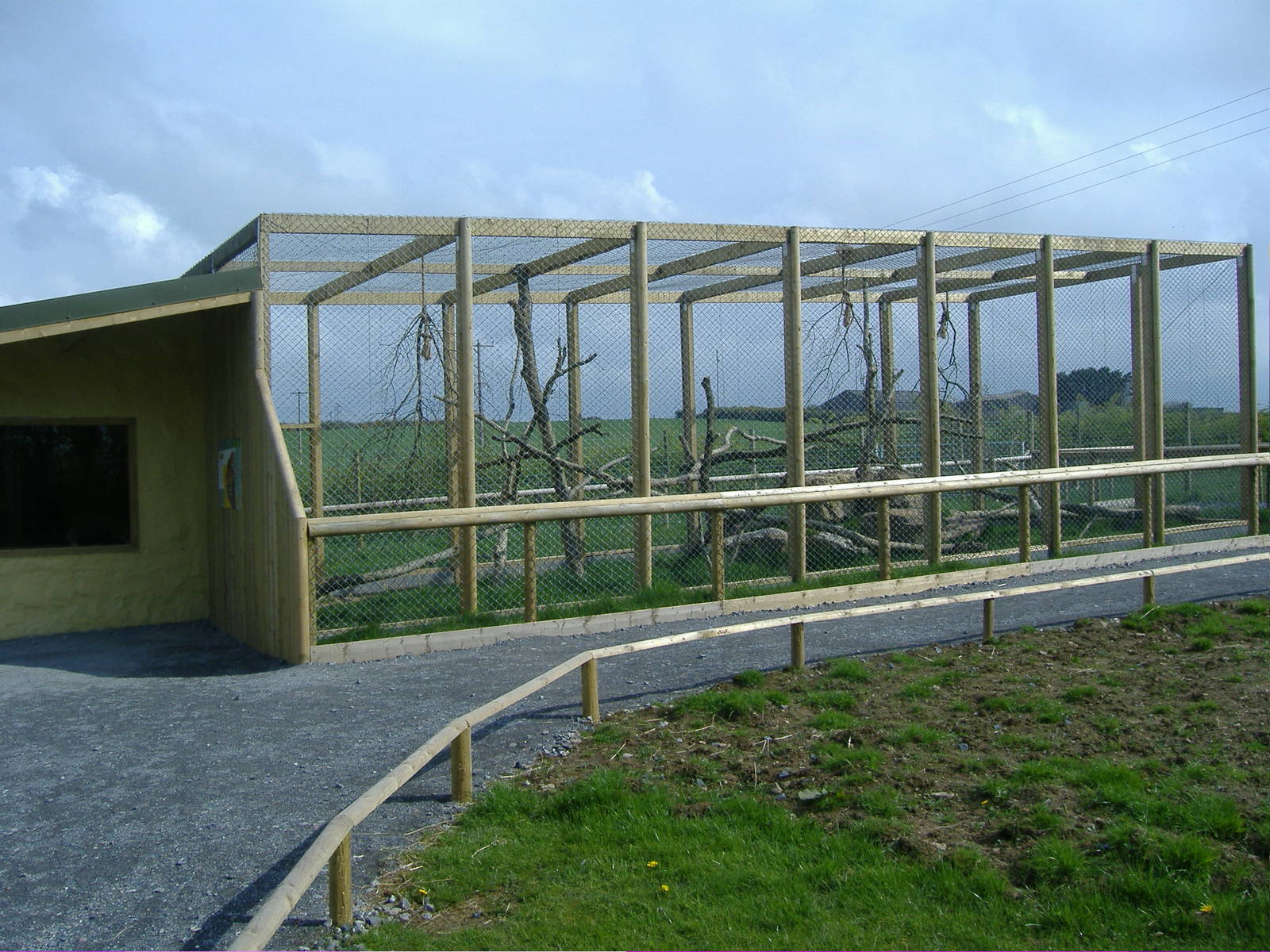 Ocelot enclosure Folly Farm