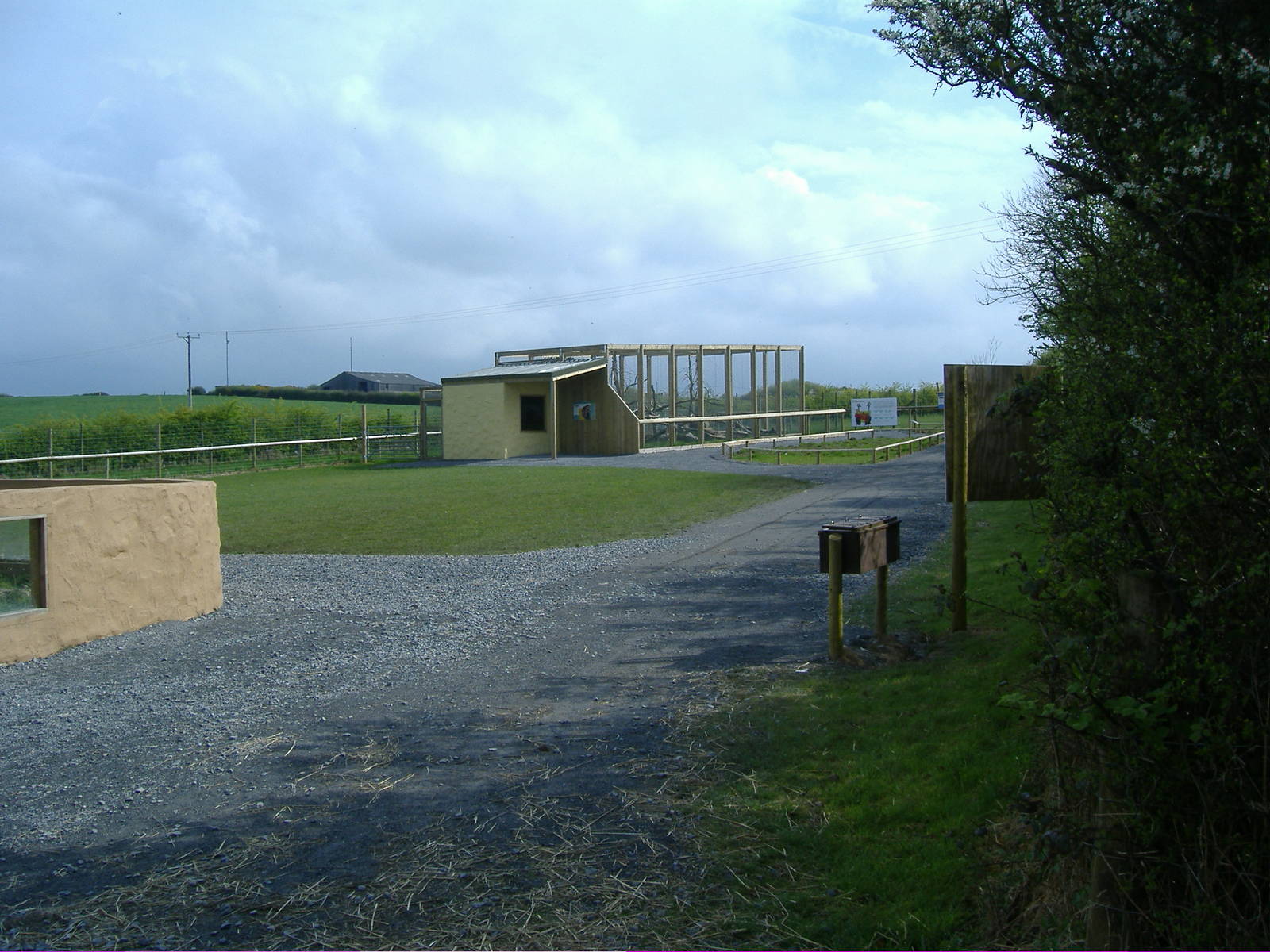 Ocelot Enclosure Folly Farm