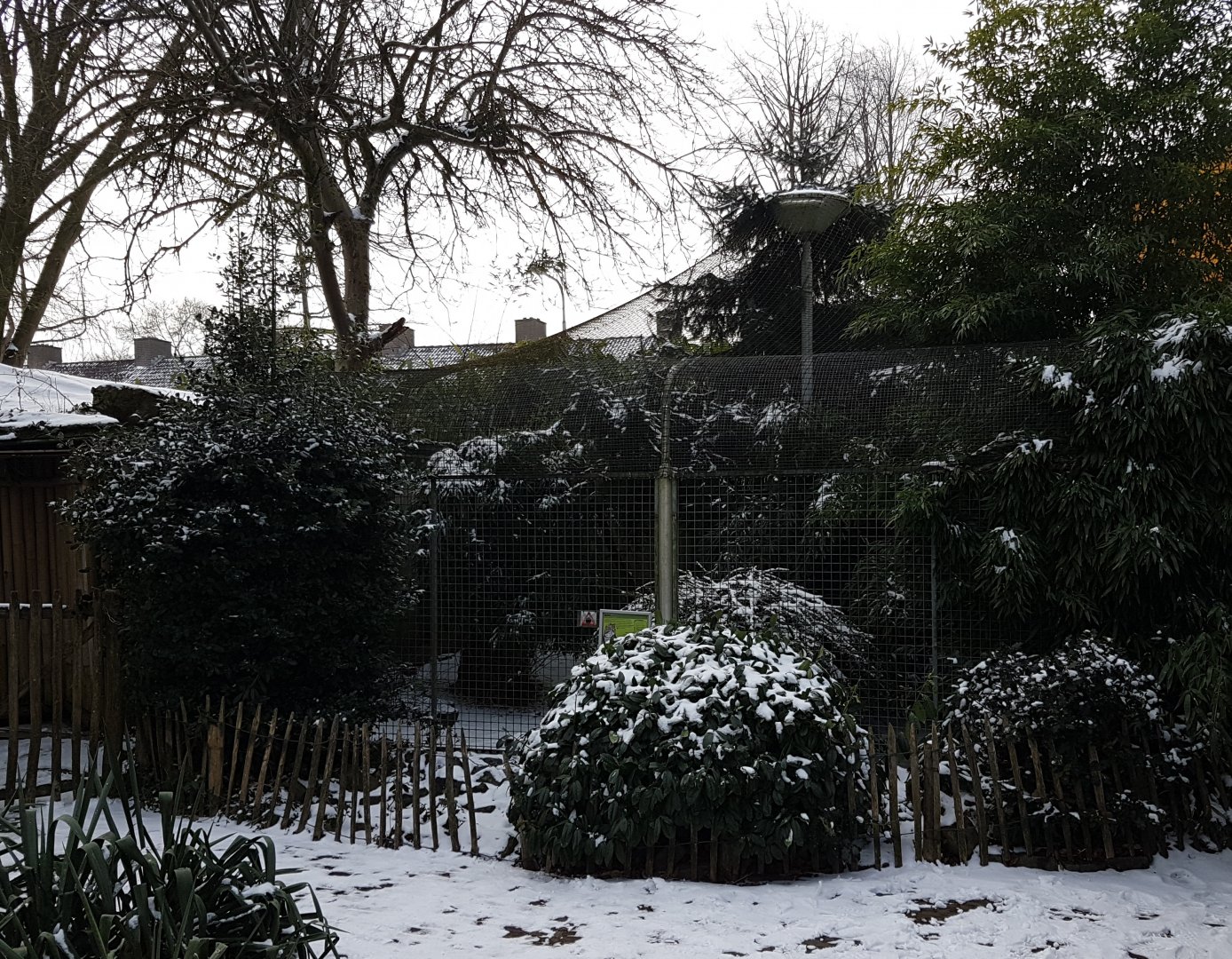 Ocelot-enclosure in the snow