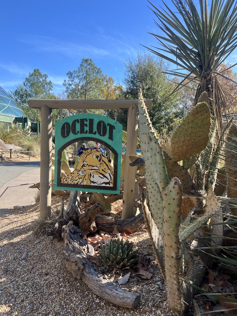Ocelot Enclosure Sign