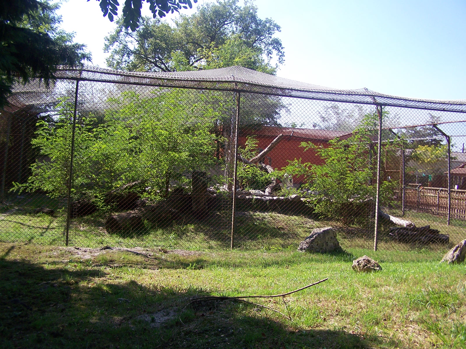 ocelot enclosure