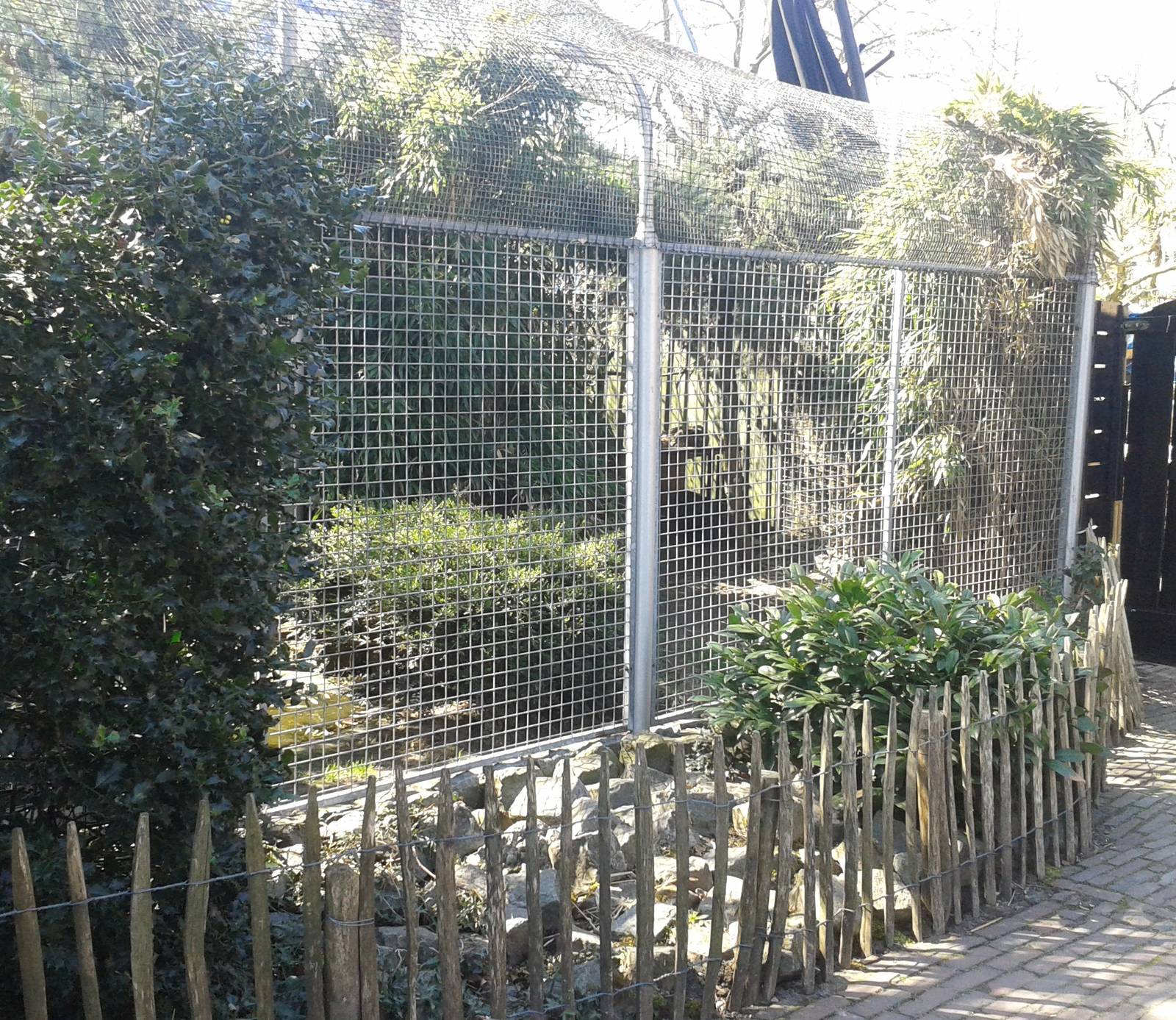 ocelot enclosure