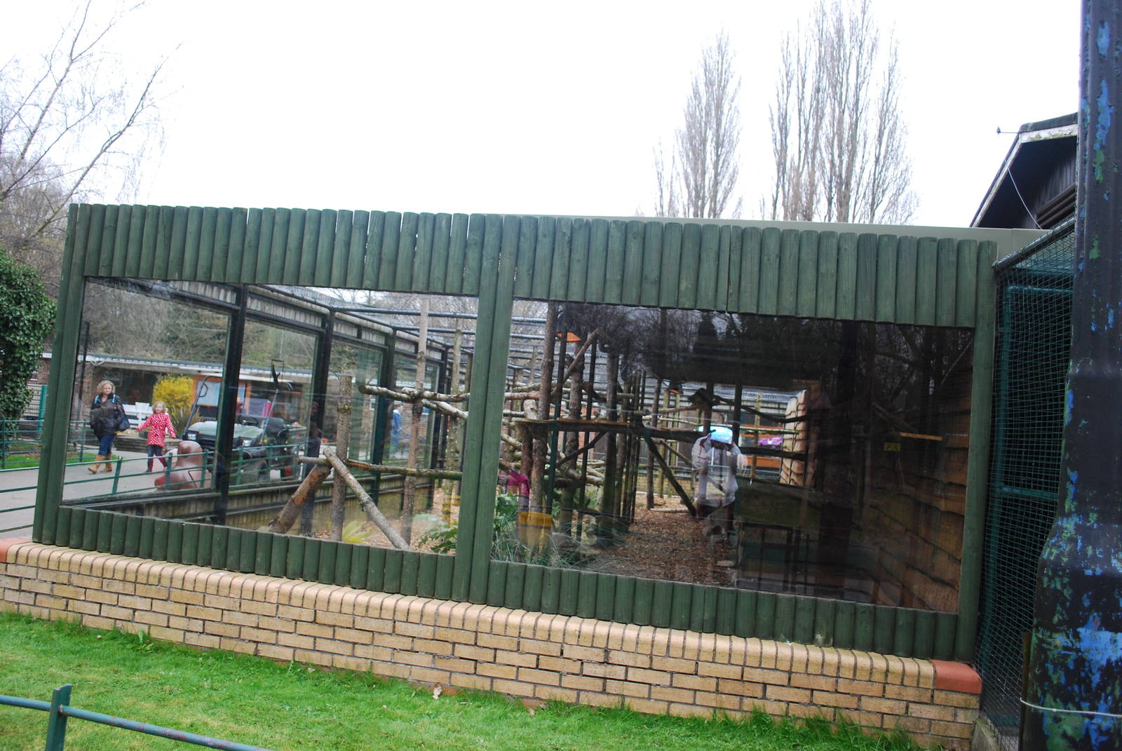 OCELOT ENCLOSURE