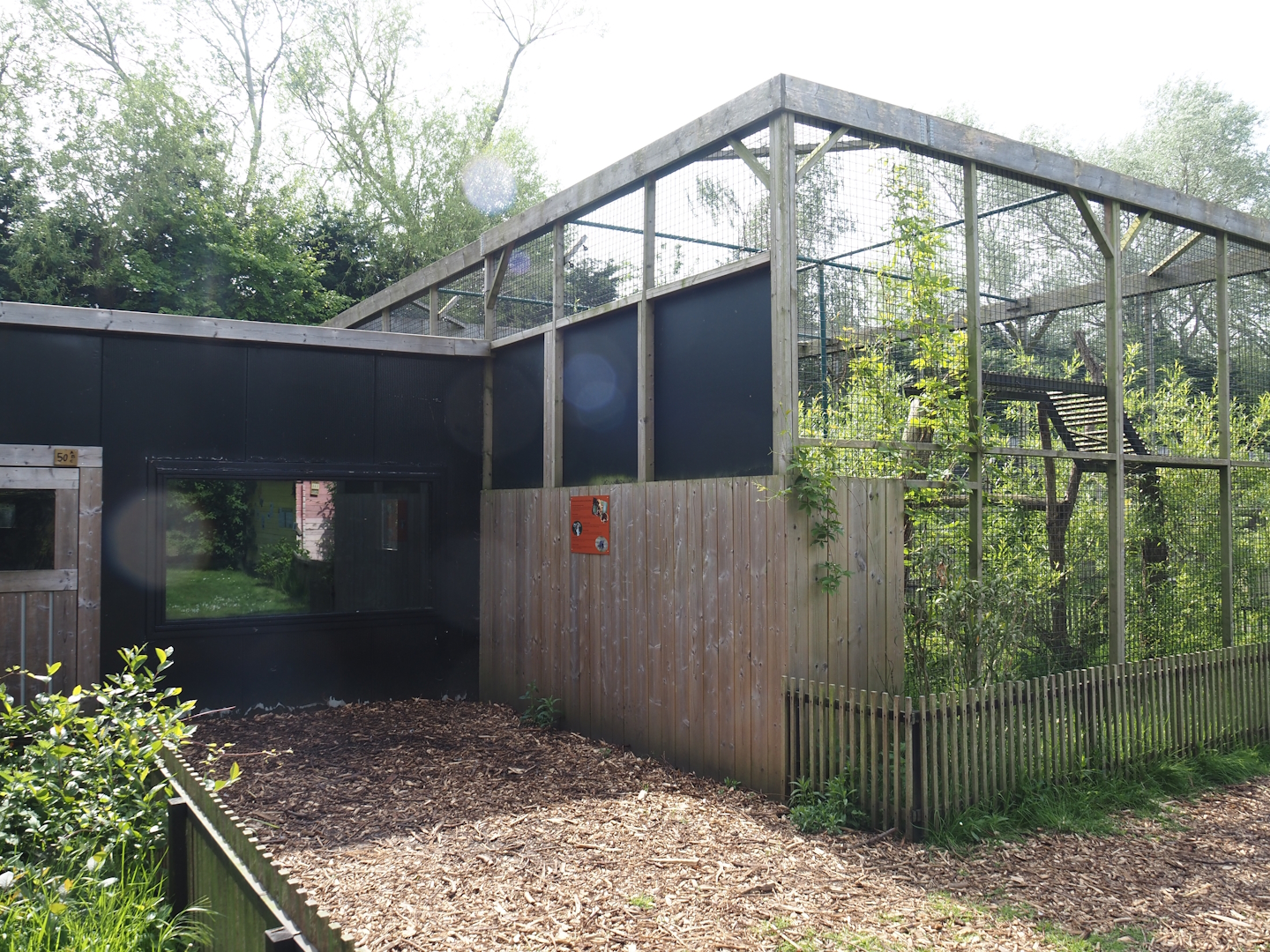 Ocelot exhibit and viewing window for Ocelot indoor exhibit, 2024-05-11