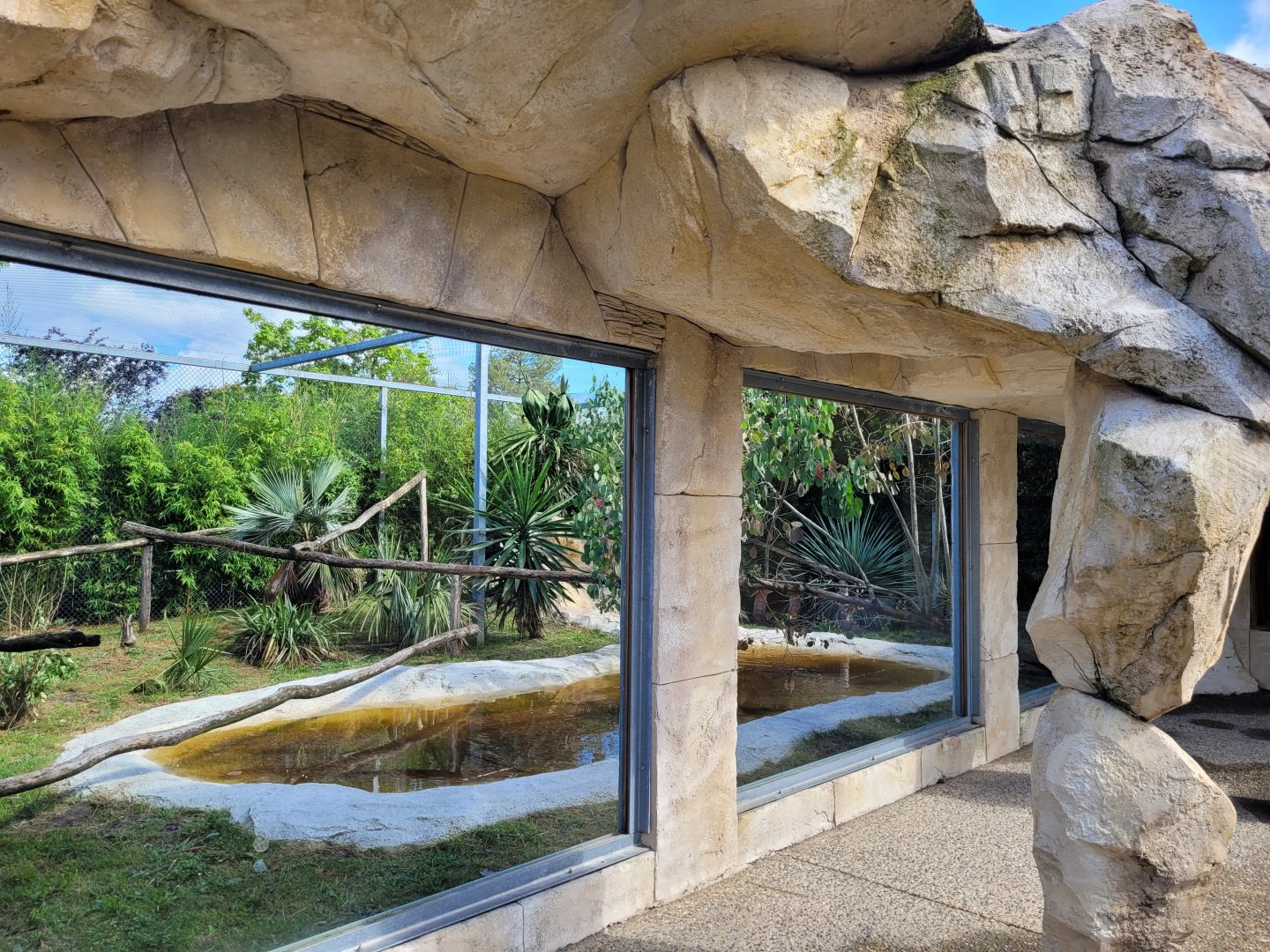 Ocelot exhibit -Zoo du bassin d'Arcachon (2024)