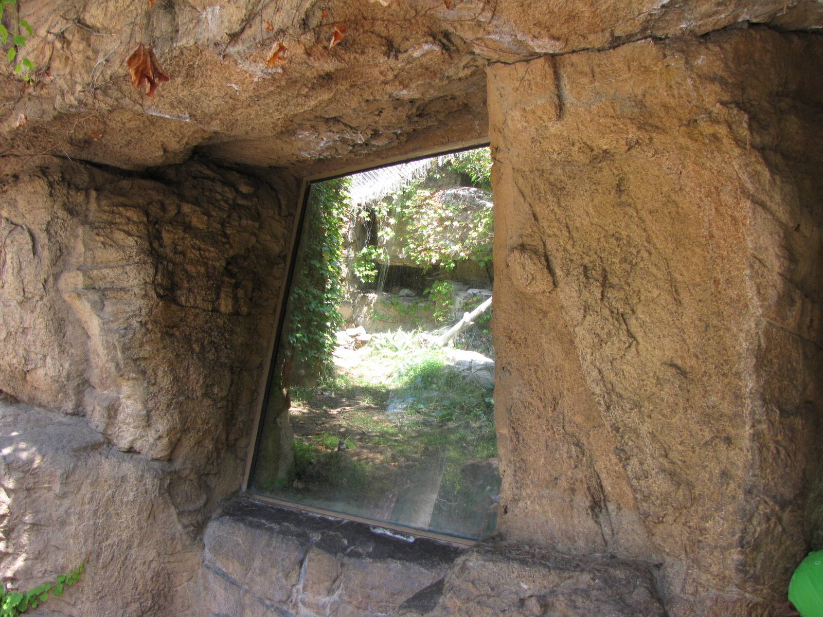 Ocelot Habitat Viewing Window - Children's Zoo