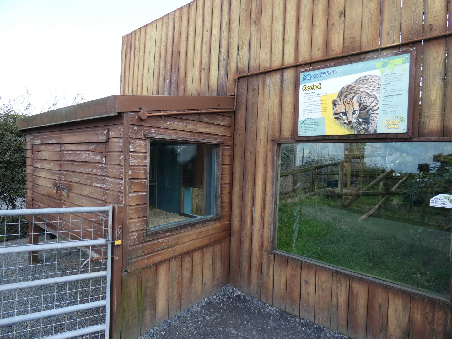 Ocelot house and outdoor viewing are