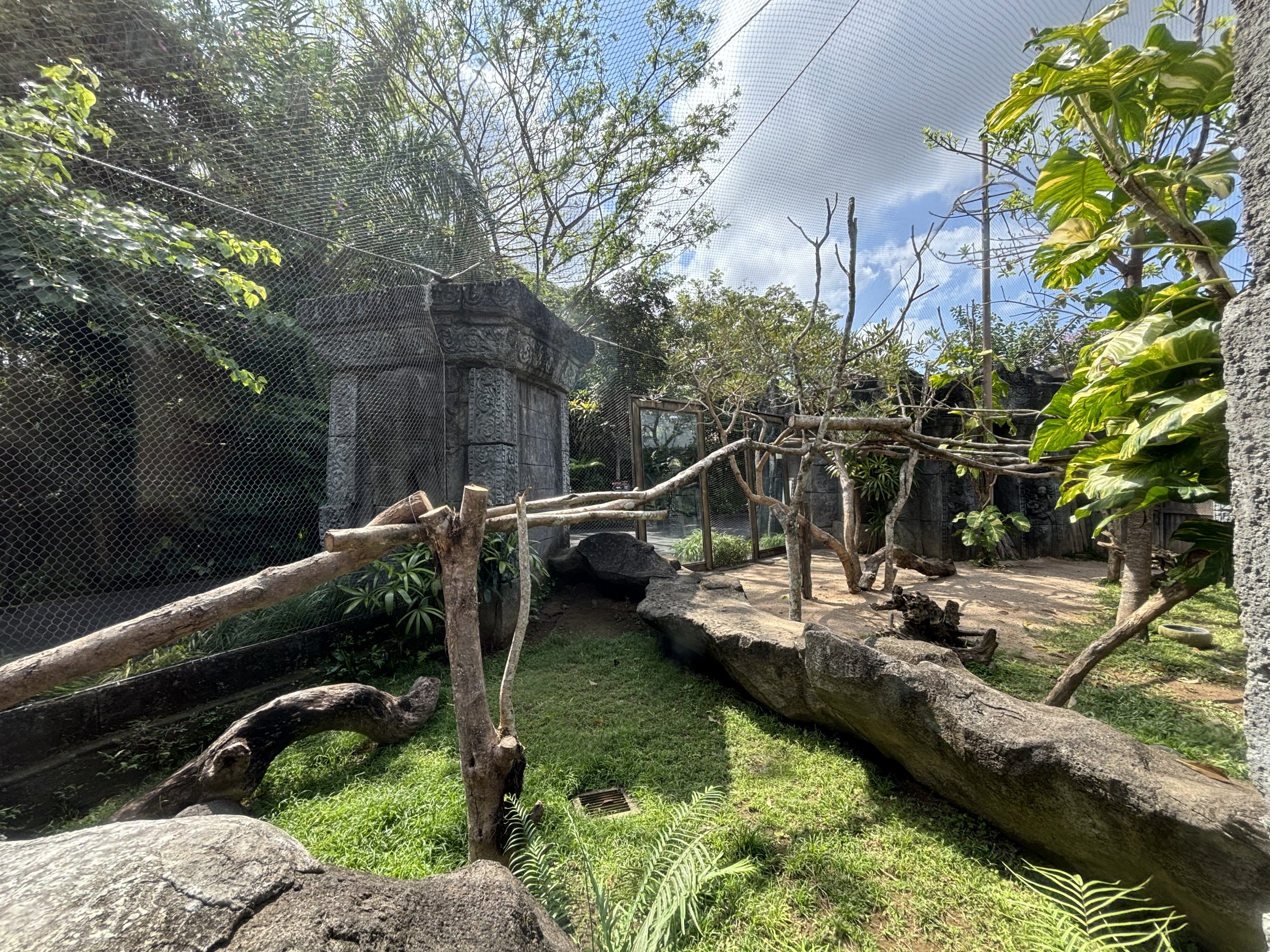 Ocelot + Pangolin Exhibits
