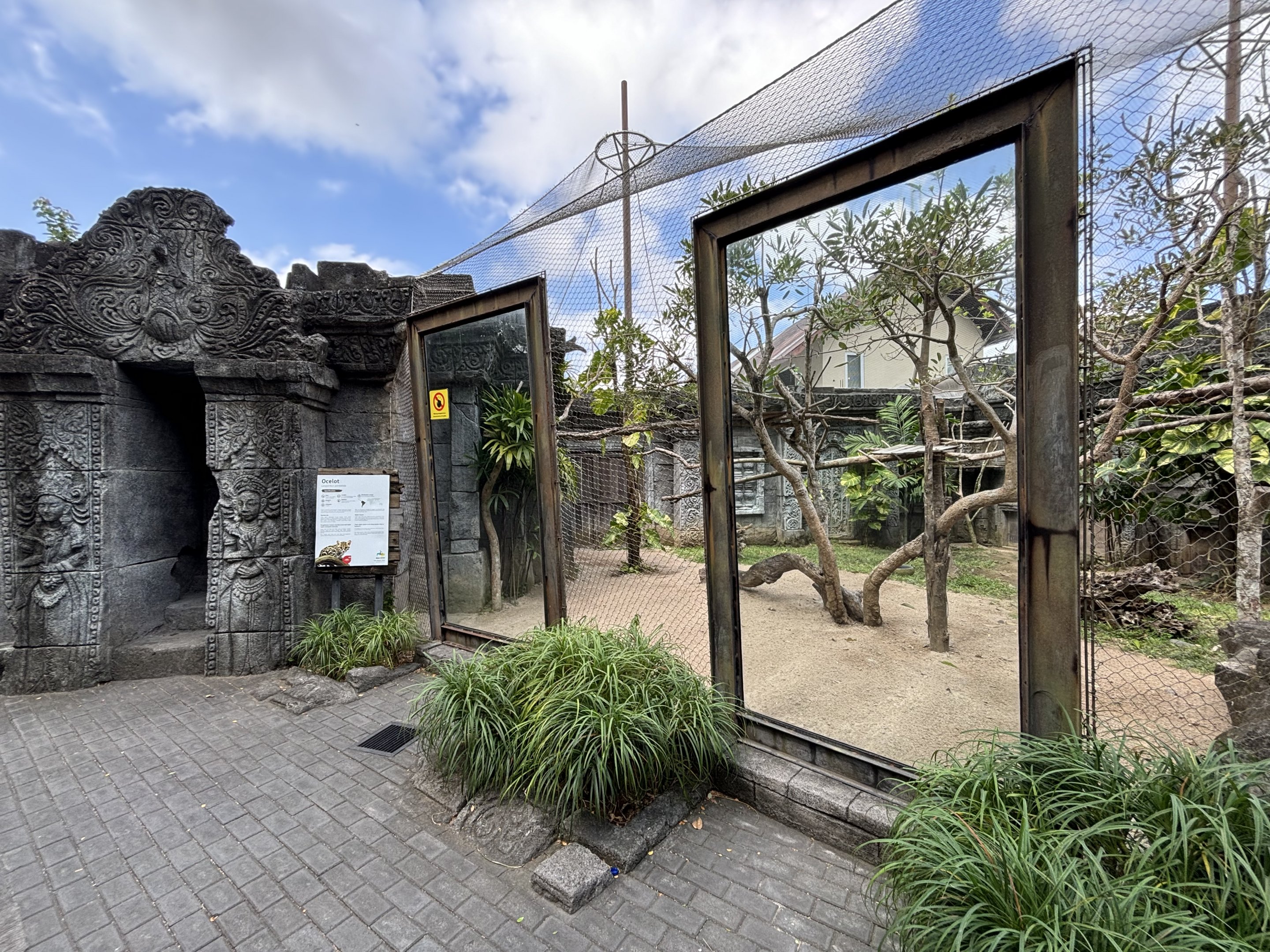 Ocelot + Pangolin Exhibits