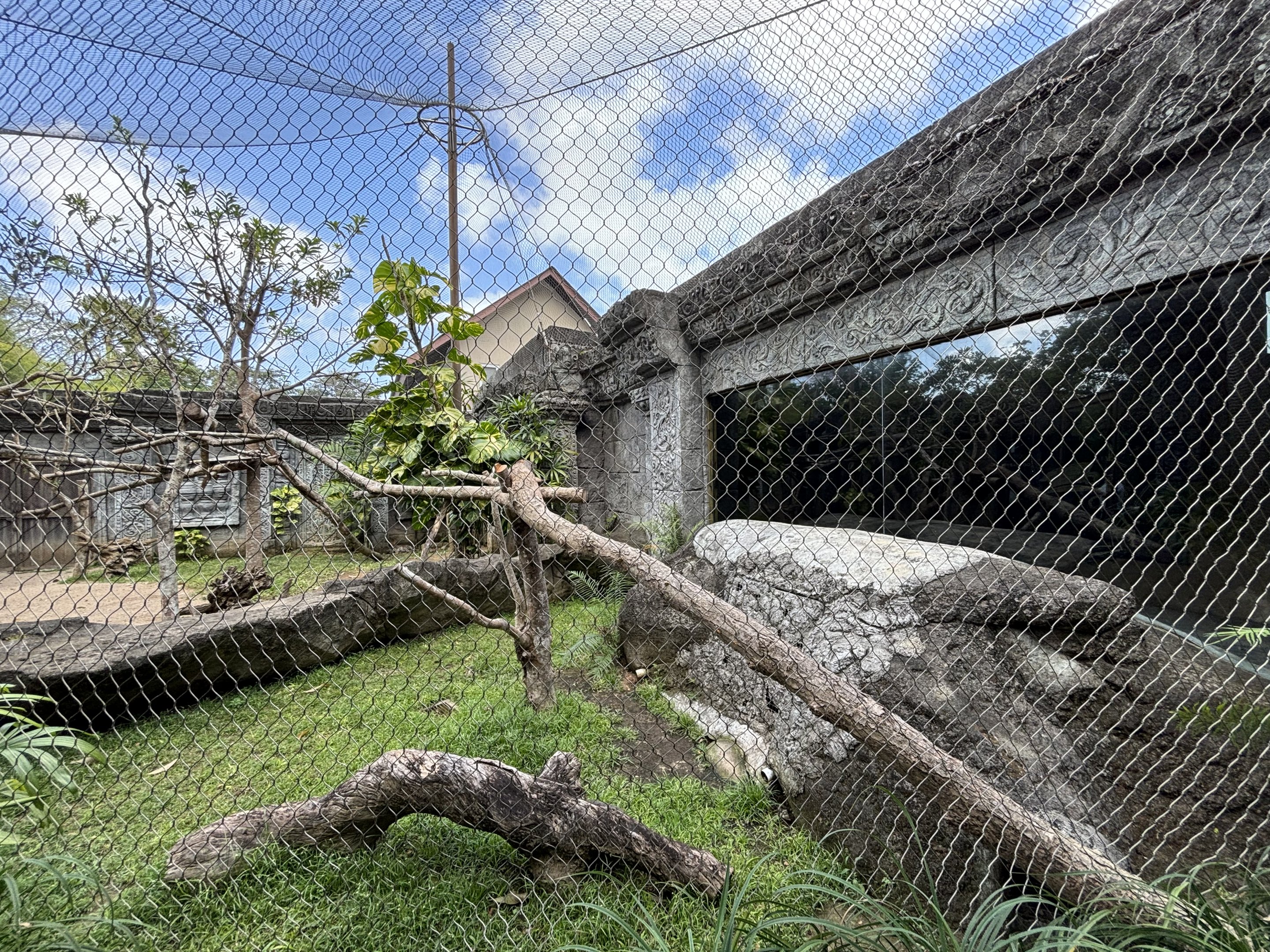 Ocelot + Pangolin Exhibits