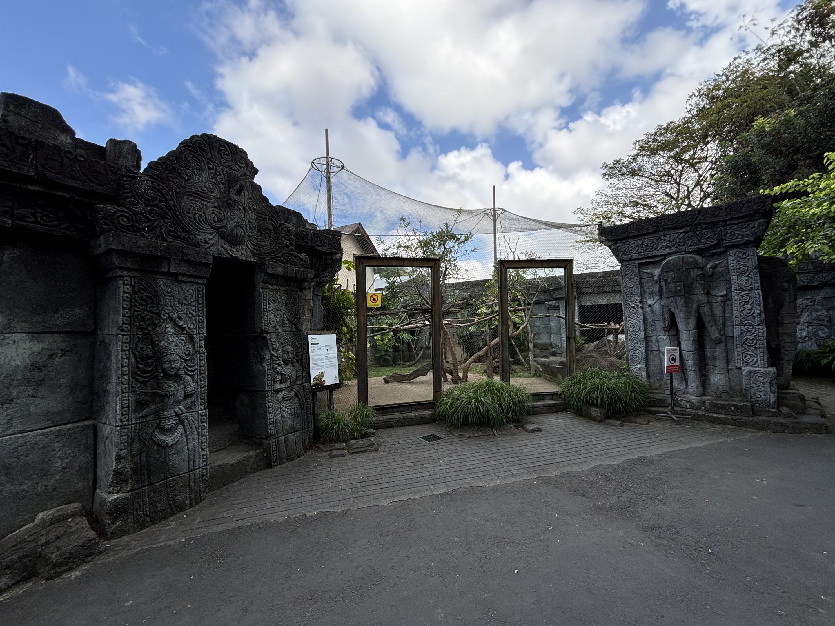 Ocelot + Pangolin Exhibits
