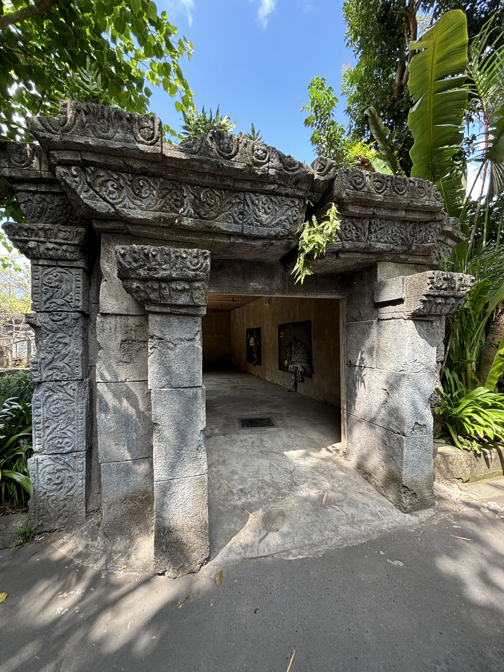 Ocelot + Pangolin Viewing Shelter