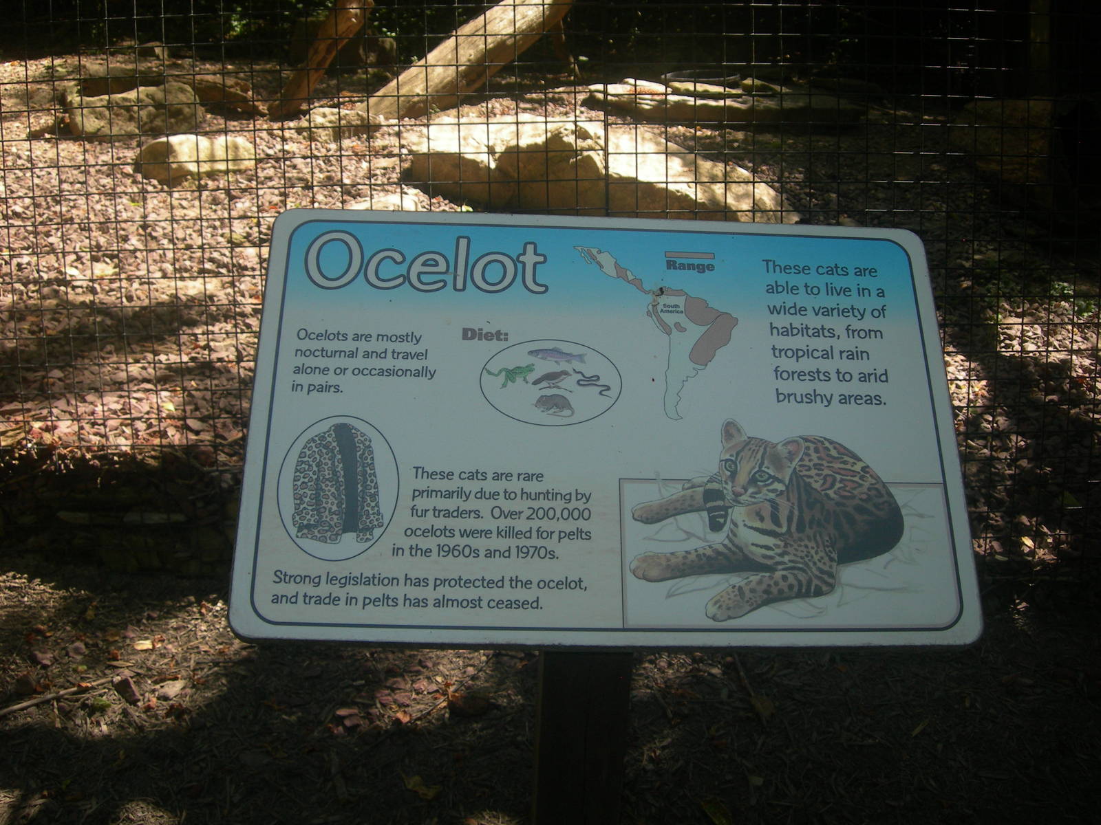 ocelot sign