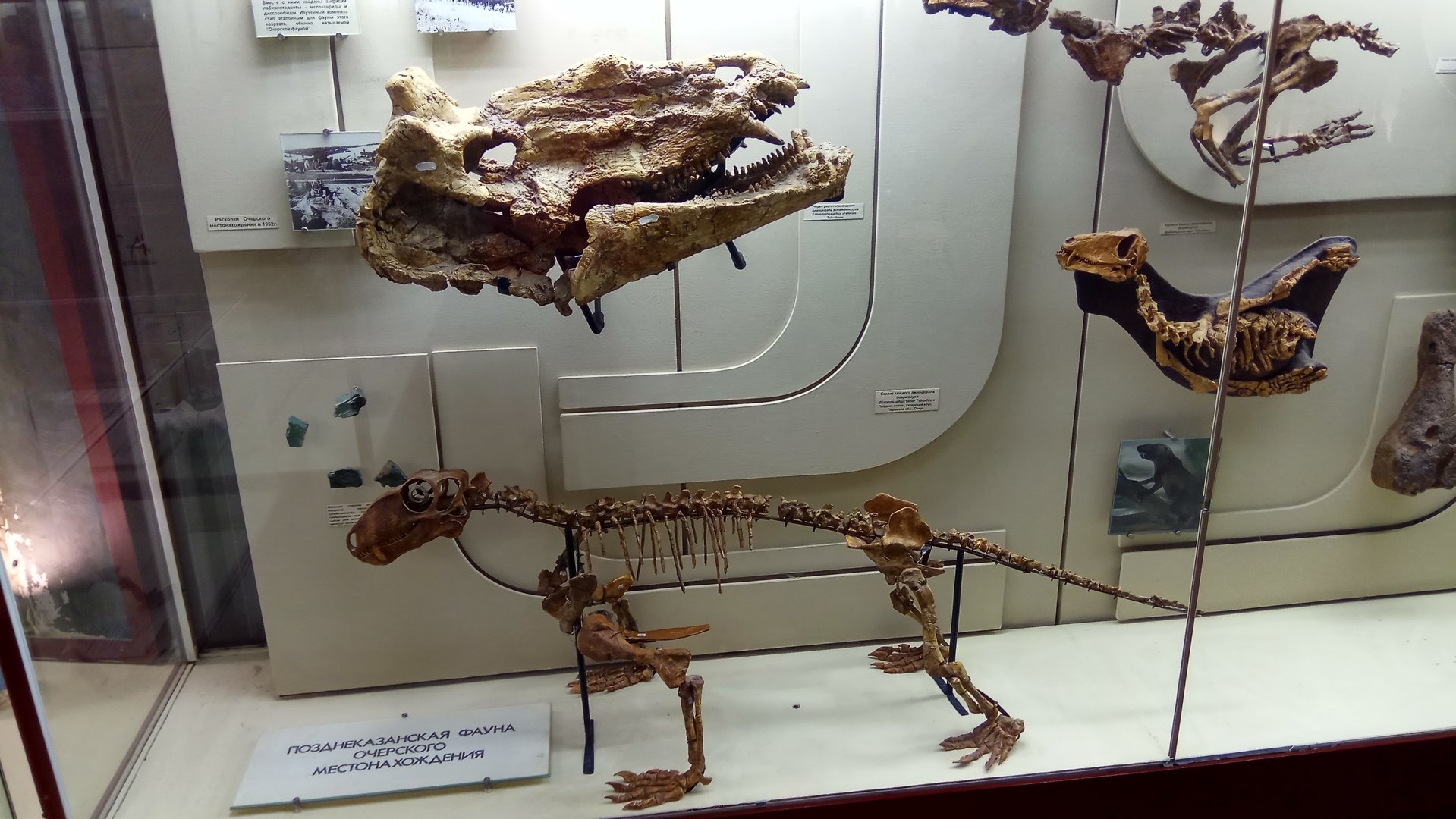 Ocher fauna (Upper Kazanian, Late Permian)