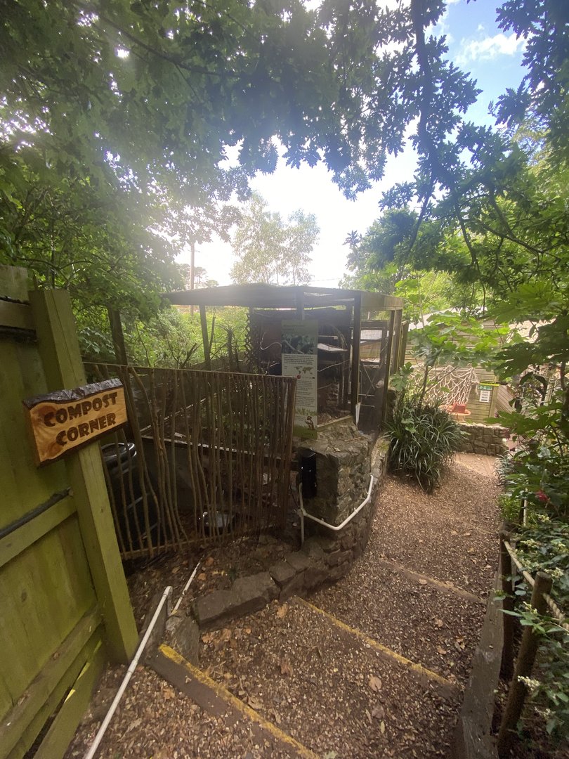 Ochre-marked parakeet aviary 250623