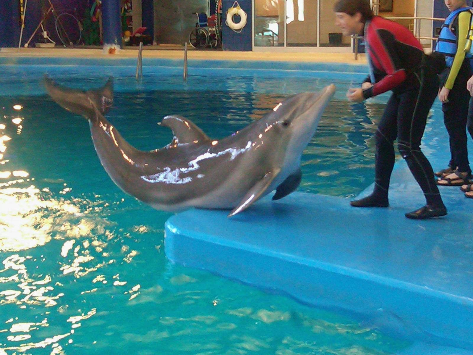 Oct. 2010 - Dolphin In-Water Adventure
