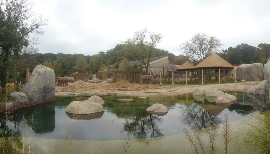 Oct. 2013 - African Elephant Crossing - Savanna Range Exhibit
