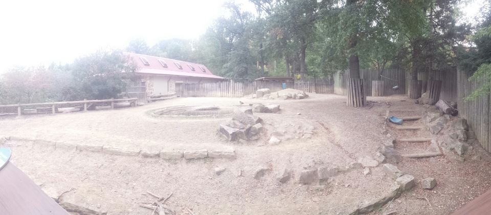 Oct. 2013 - African Savanna - Eastern Black Rhinoceros Exhibit