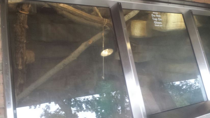 Oct. 2013 - African Savanna - First Indoor Colobus Exhibit