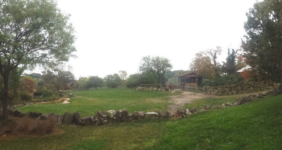 Oct. 2013 - African Savanna - First Savanna Exhibit