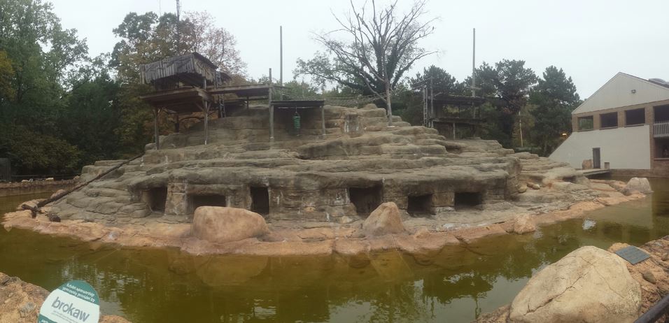 Oct. 2013 - African Savanna - Monkey Island