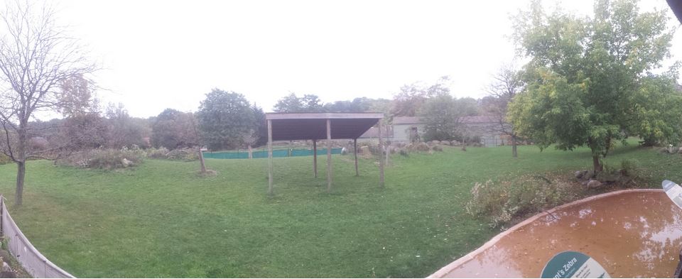 Oct. 2013 - African Savanna - Savanna Exhibit 2