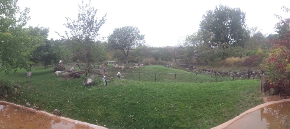 Oct. 2013 - African Savanna - Savanna Exhibits 2 + 1