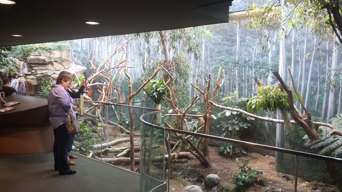 Oct. 2013 - Australian Adventure - Gum Leaf Hideout