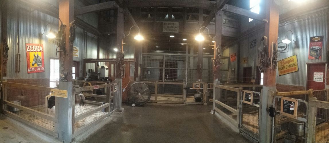 Oct. 2013 - Australian Adventure - Kookaburra Station