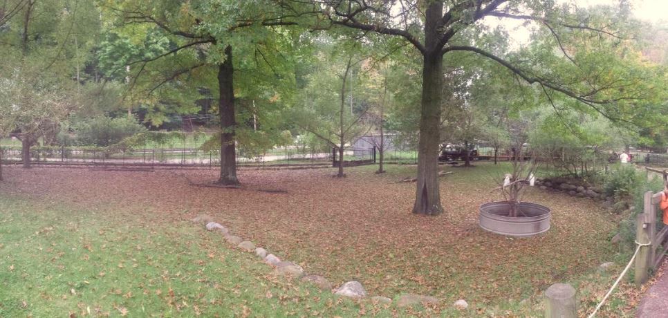 Oct. 2013 - Australian Walkabout - Wallaby Walkabout