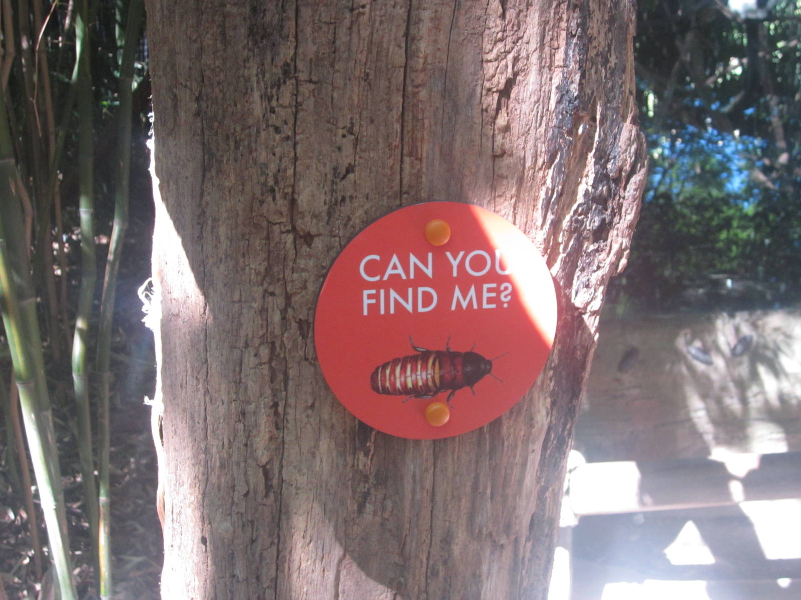 Oct. 2013 - Jungle Trails - 'Can You Find Me Sign'