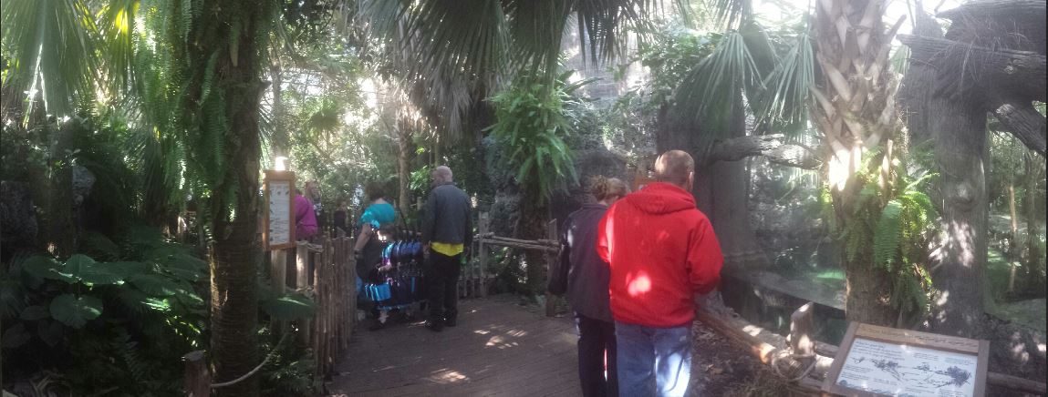 Oct. 2013 - Manatee Springs Greenhouse