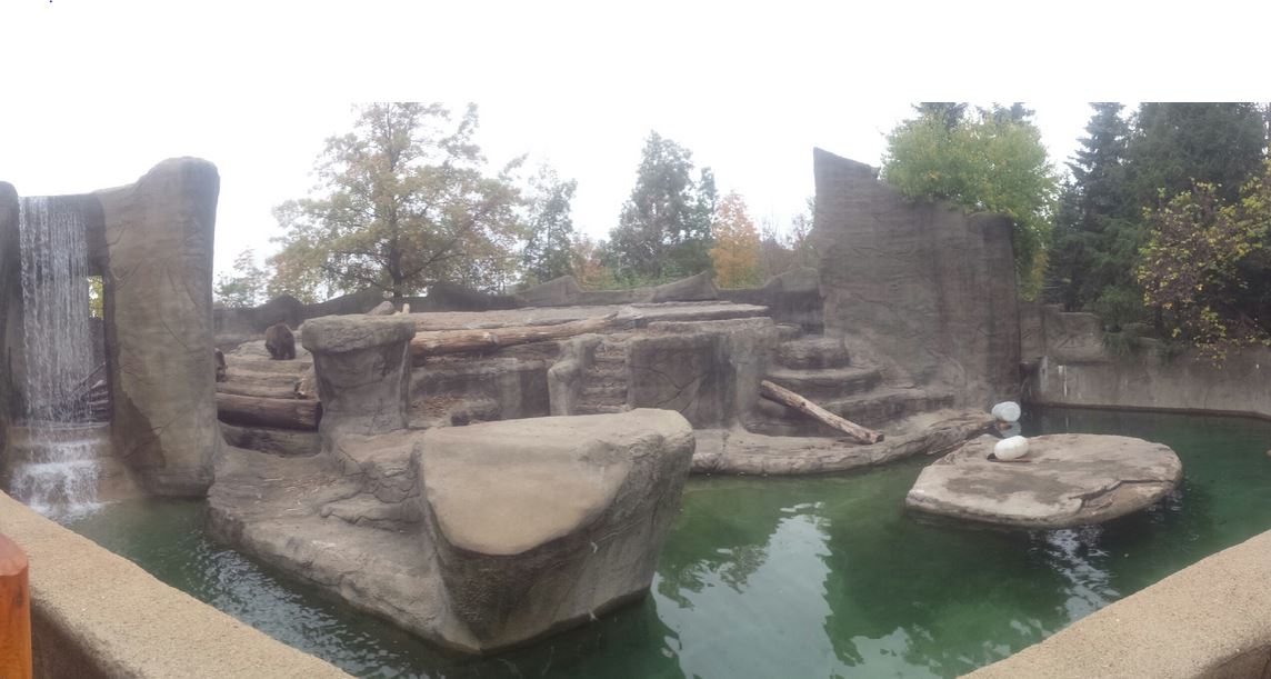Oct. 2013 - Northern Trek - Grizzly Bear Exhibit