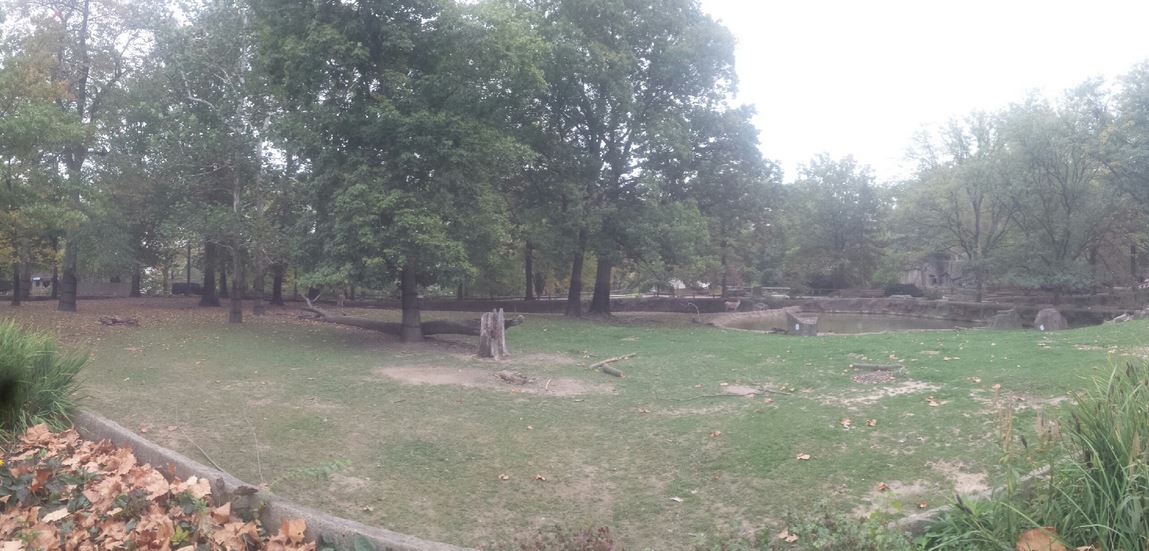 Oct. 2013 - Northern Trek - Persian Onager Exhibit