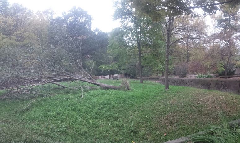 Oct. 2013 - Northern Trek - Reindeer Exhibit