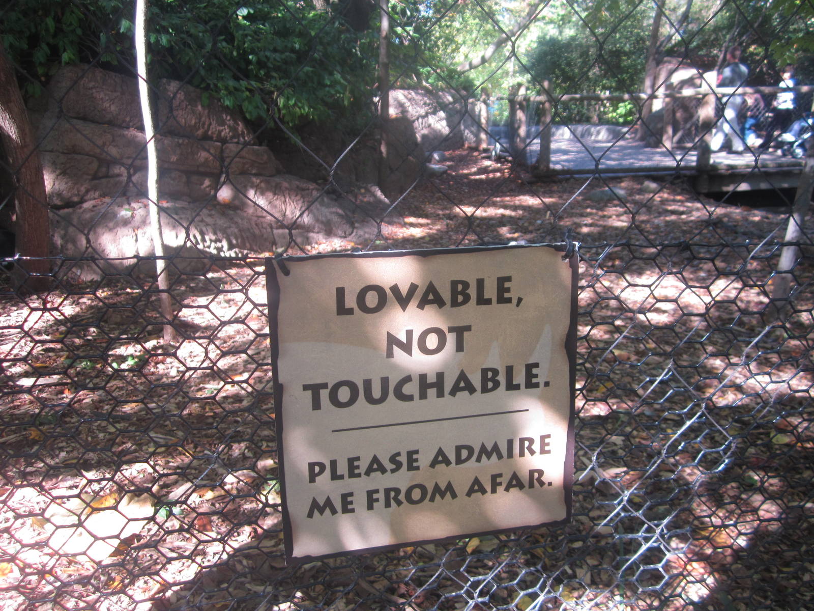 Oct. 2013 - Penguin Walkabout - Lovable Not Touchable...