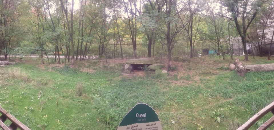 Oct. 2013 - Primate, Cat, + Aquatics - Cheetah Exhibit